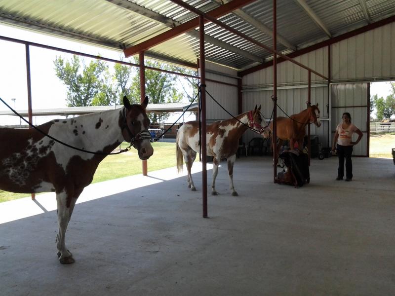Indoor Grooming Stalls